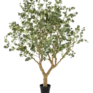 Künstlicher Eucalyptus - Kalli | 240 cm
