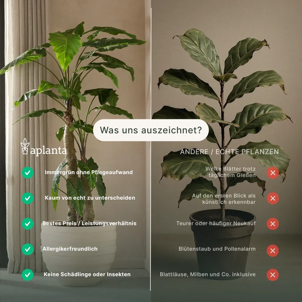 Künstlicher Ficus Baum - Nero | 315 cm