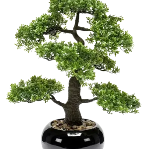 Künstlicher Ficus Bonsai - Sota | 47 cm