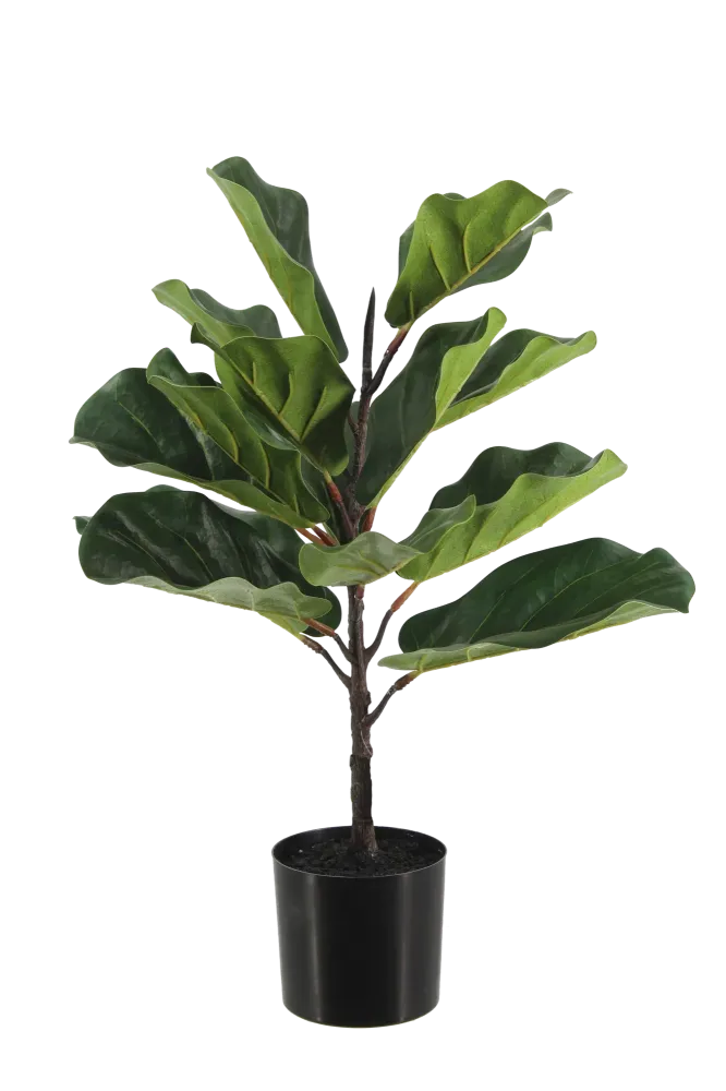 Künstlicher Ficus Lyrata - Luan | 60 cm