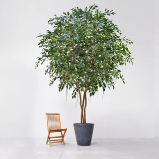 Künstlicher Ficusbaum - Satos | 500 cm