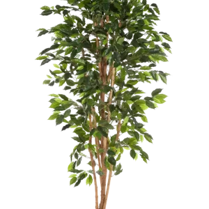 Künstlicher Ficusbaum – Sylvior | 150 cm
