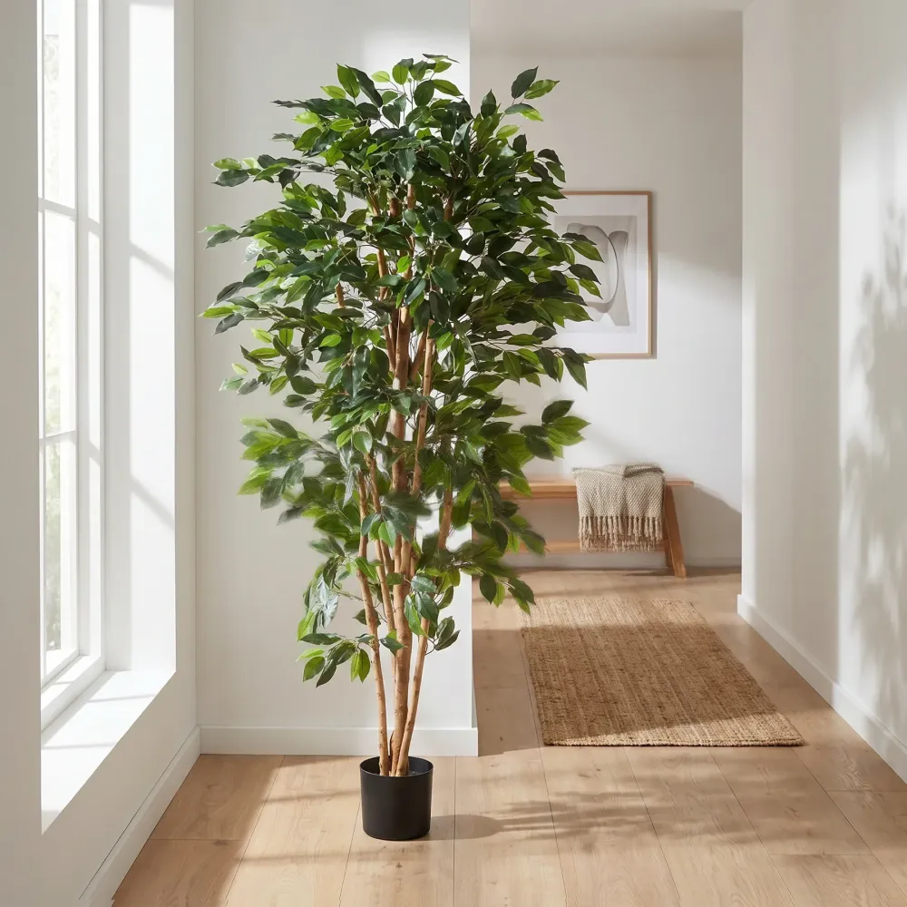 Künstlicher Ficusbaum – Sylvior | 150 cm