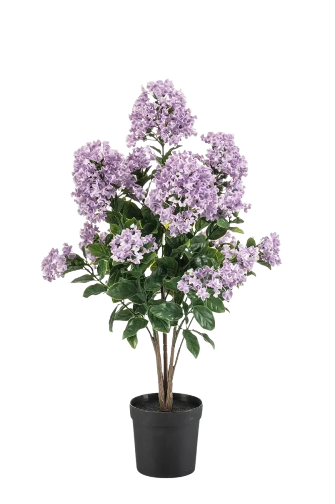 Künstlicher Flieder - Pina | 65 cm