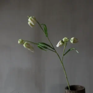 Künstlicher Fritillaria champagner/grüner Schmetterling, 70 cm