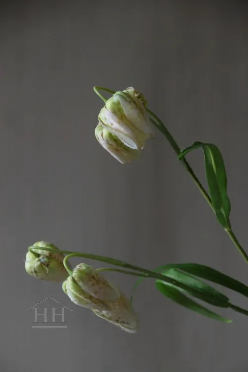 Künstlicher Fritillaria champagner/grüner Schmetterling, 70 cm