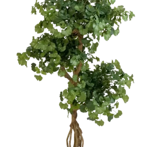 Künstlicher Gingko - Tino | 145 cm