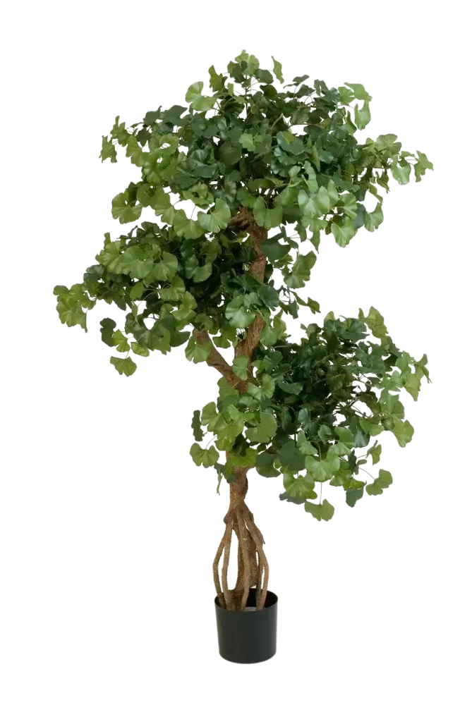 Künstlicher Gingko - Titus | 145 cm feuerhemmend
