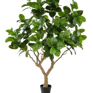 Künstlicher Gummibaum - Temptus | 240 cm