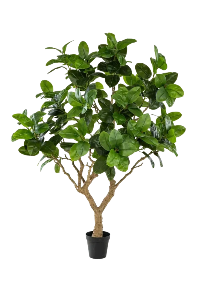 Künstlicher Gummibaum - Temptus | 240 cm