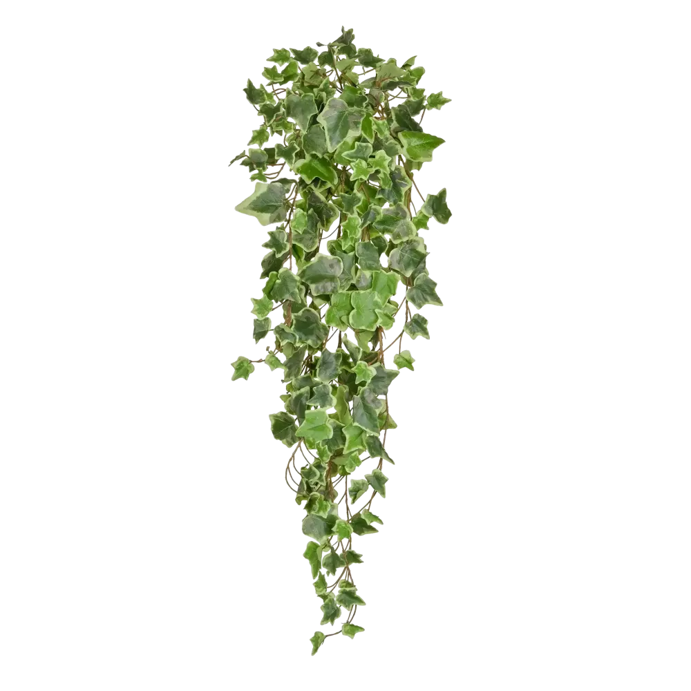 Künstlicher Hänge-Efeu - Eckhard | 86 cm