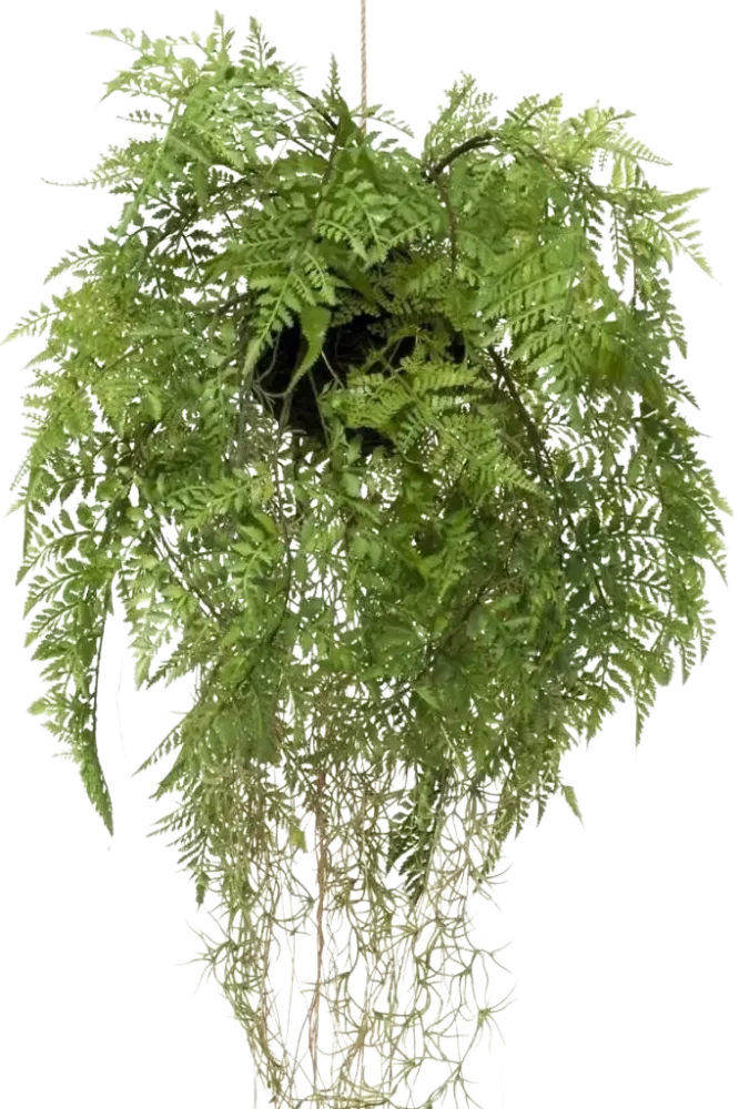 Künstlicher Hänge-Farn - Jolie | 35 cm