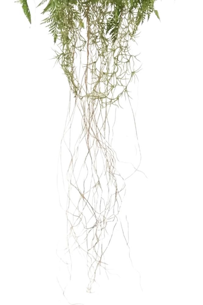 Künstlicher Hänge-Farn - Jolie | 35 cm