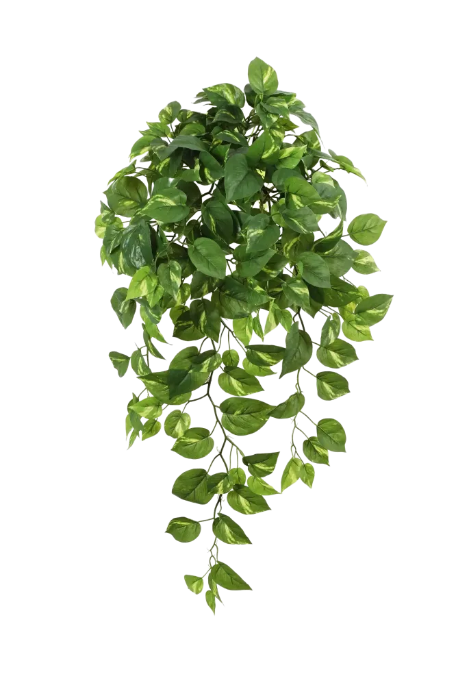 Künstlicher Hänge-Pothos - Bella | 85 cm