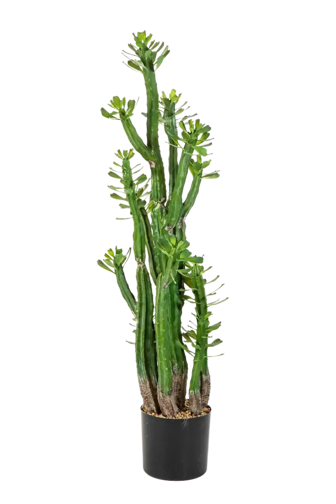 Künstlicher Kaktus - Hermann | 118 cm