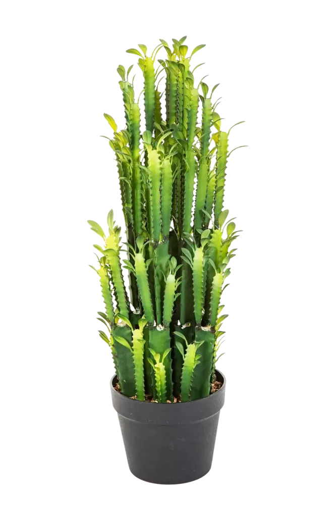 Künstlicher Kaktus - Hermine | 64 cm