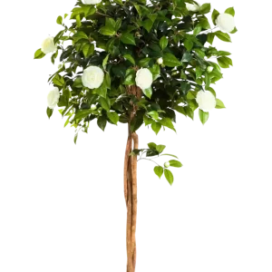 Künstlicher Kamelienbaum - Pina | 160 cm