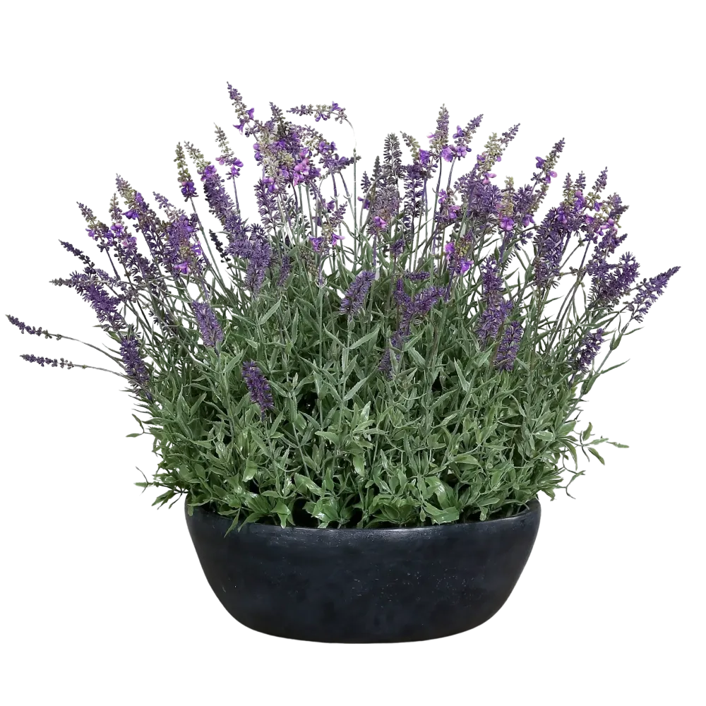 Künstlicher Lavendel - Thorfinn | 60 cm | grauer Schale