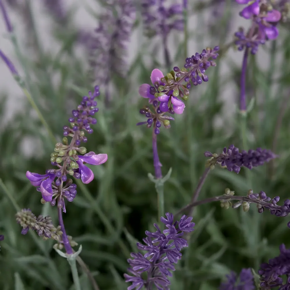 Künstlicher Lavendel - Thorfinn | 60 cm | grauer Schale