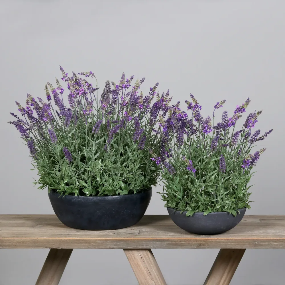 Künstlicher Lavendel - Thorfinn | 60 cm | grauer Schale