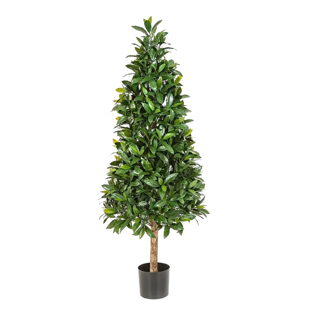 Künstlicher Lorbeer - Tamina | 140 cm