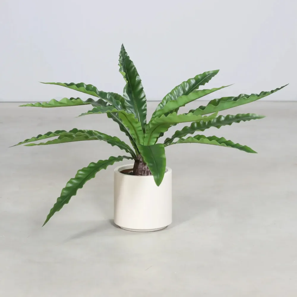 Künstlicher Nestfarn - Yueh | 70 cm