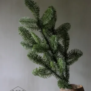 Künstlicher Nordmann-Kiefernzweig 70cm