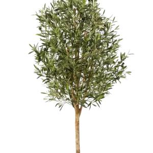 Künstlicher Olivenbaum – Callistus | 170 cm