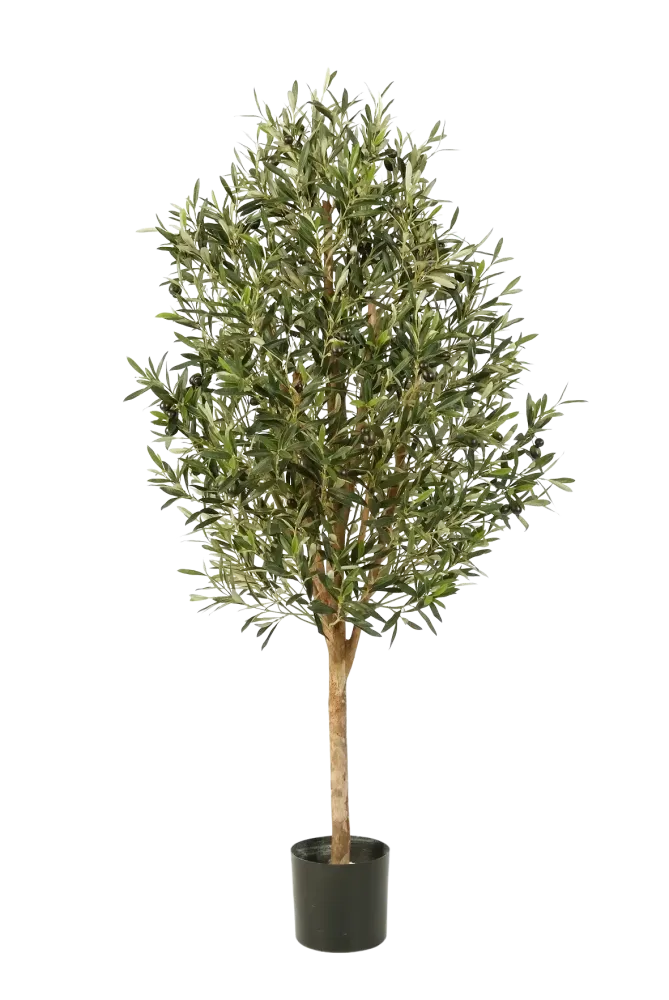 Künstlicher Olivenbaum – Callistus | 170 cm