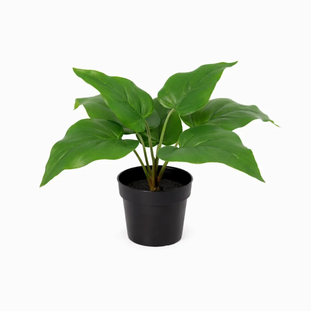 Künstlicher Philodendron Imperial Green – 25 cm