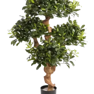 Künstlicher Pittosporum - Pierre | 120 cm