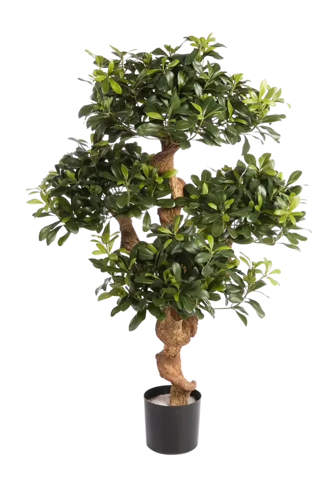 Künstlicher Pittosporum - Pierre | 120 cm