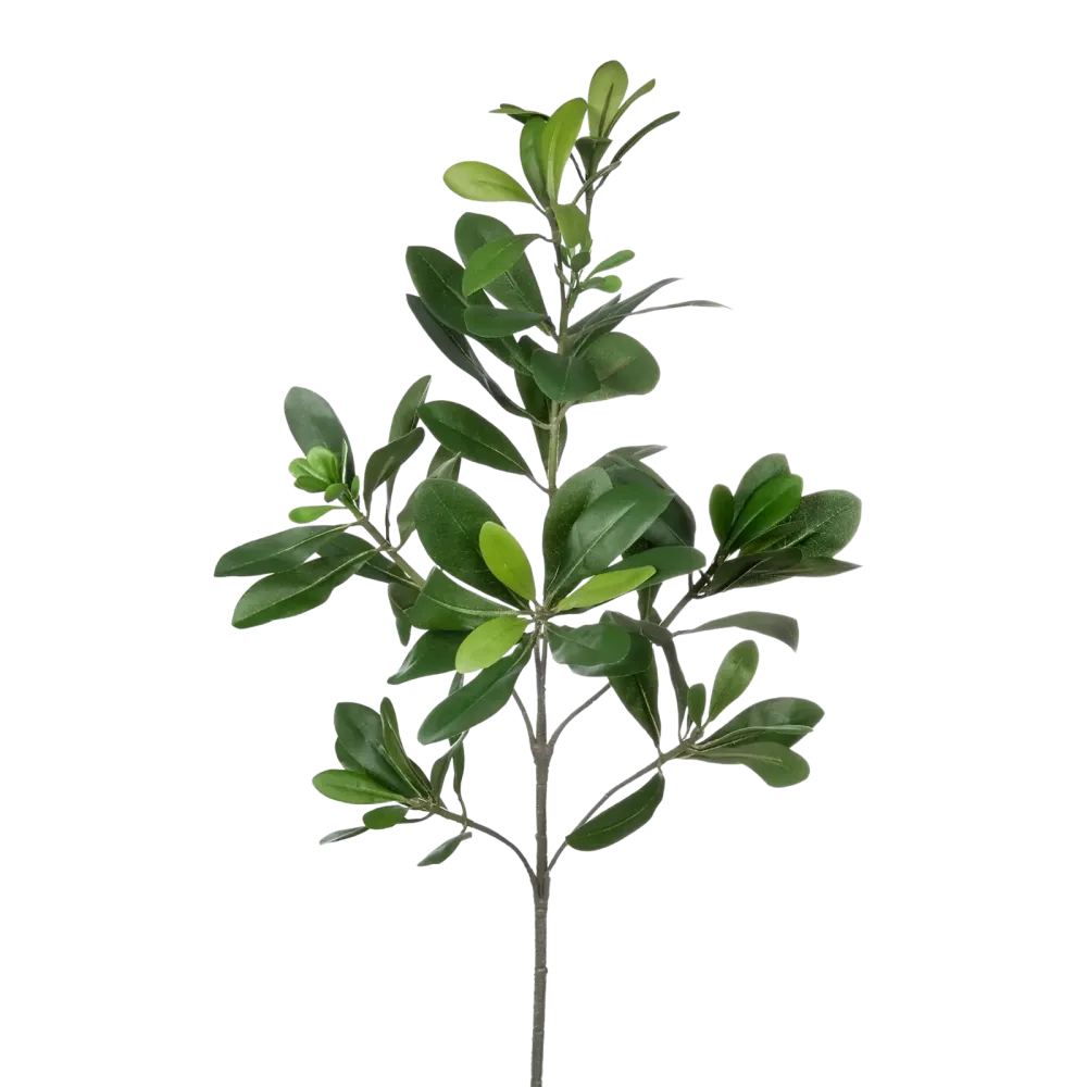 Künstlicher Pittosporum - Regina | 56 cm