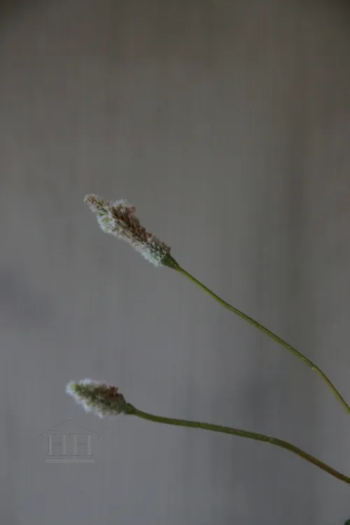Künstlicher Ptilotus-Ast – 69 cm