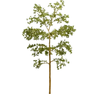Künstlicher schwarzer Olivenbaum - Finja | 290 cm