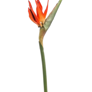 Künstlicher Strelitzia Zweig - Olga | 85 cm