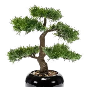 Künstlicher Zeder Bonsai - Miyu | 32 cm