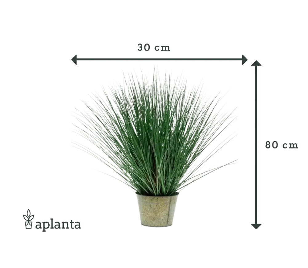 Künstliches Gras - Irene | 80 cm