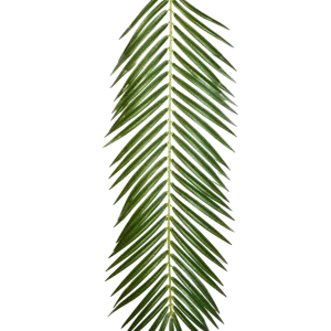 Künstliches Phoenixpalmenblatt - Oliwia | 88 cm