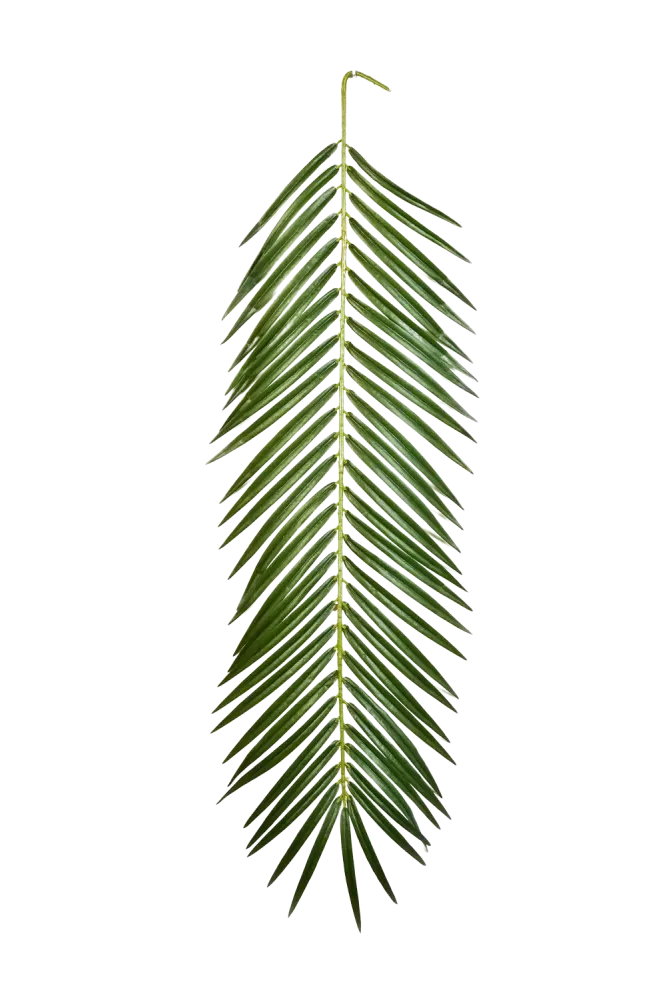 Künstliches Phoenixpalmenblatt - Oliwia | 88 cm