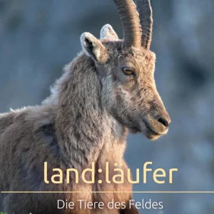 Land:läufer