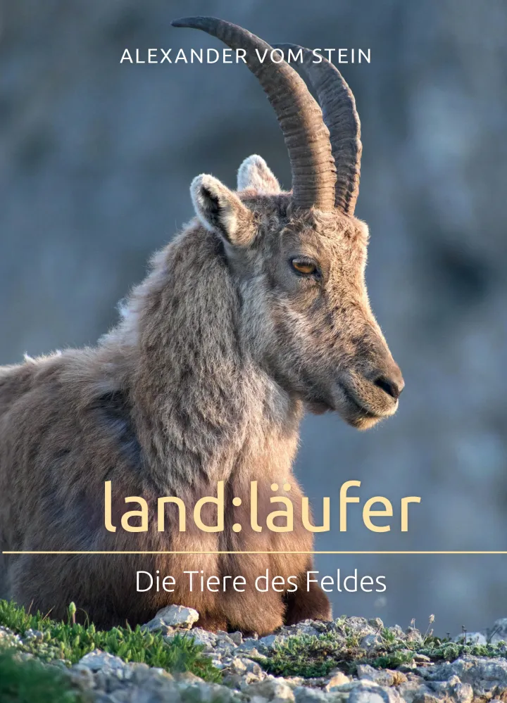Land:läufer