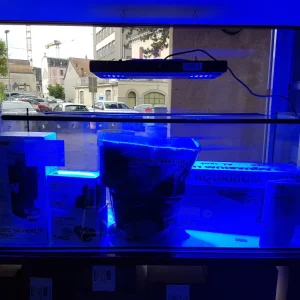 Liquidation aquarium 160l complet