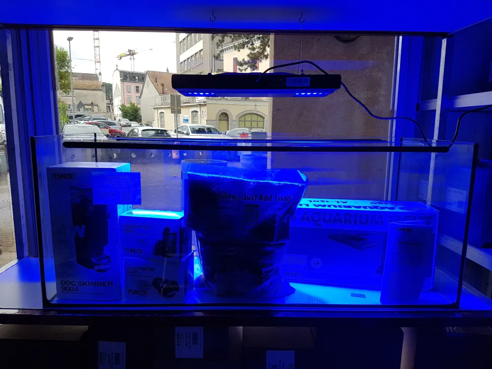 Liquidation aquarium 160l complet