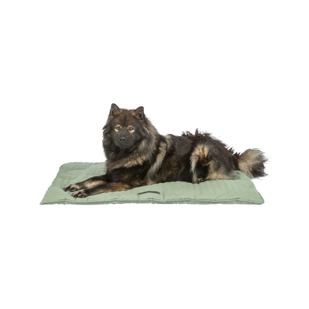 Matratze Trixie 90 × 65 CM Hund
