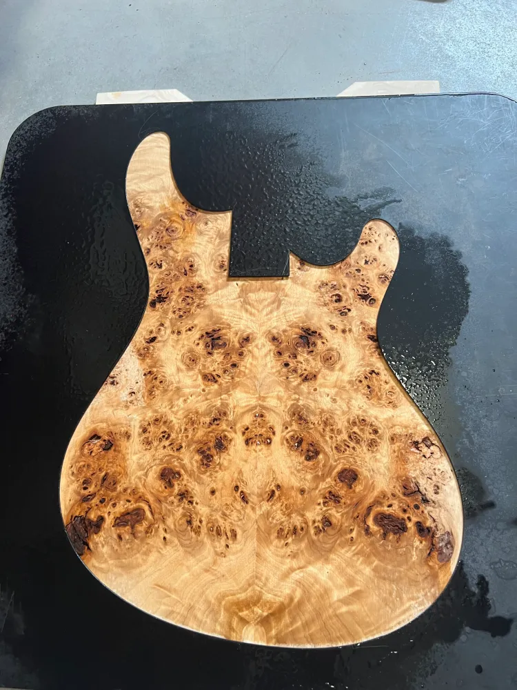 Mayones Regius V24 6 Augenpappel Meisterqualität