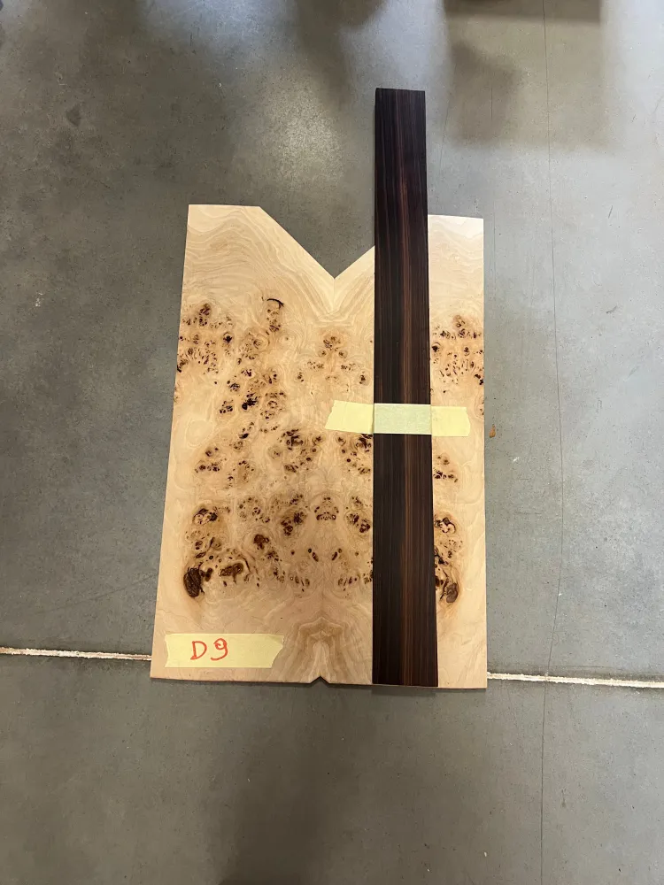 Mayones Regius V24 6 Augenpappel Meisterqualität