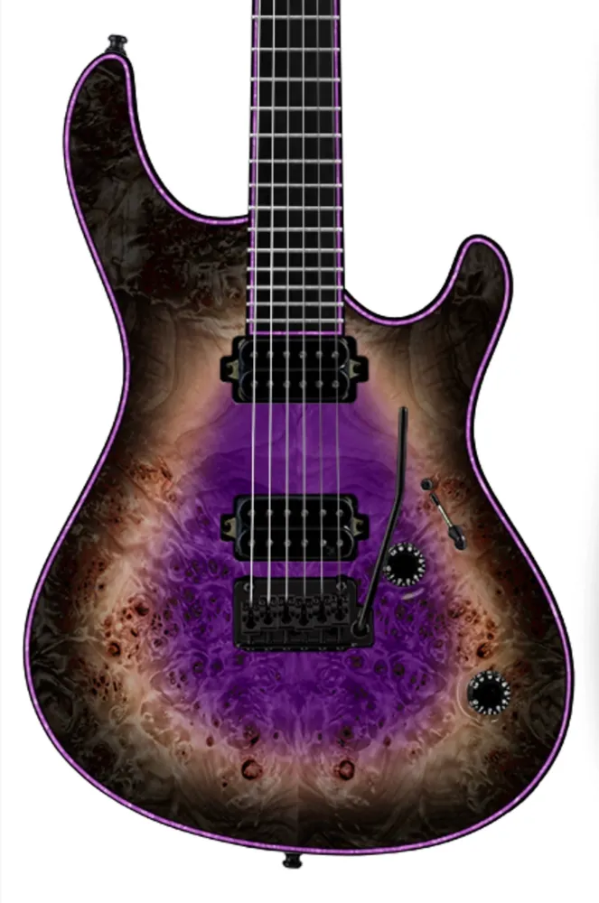 Mayones Regius V24 6 Augenpappel Meisterqualität