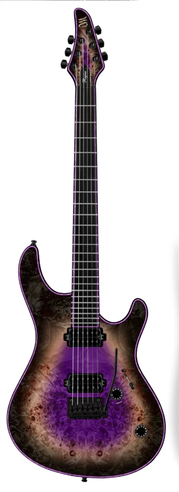 Mayones Regius V24 6 Augenpappel Meisterqualität
