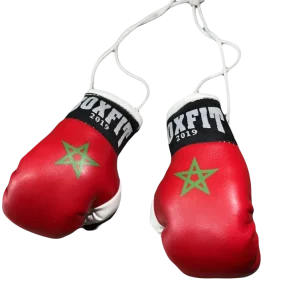 Mini Boxhandschuhe